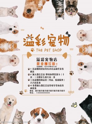 專業寵物服務，呵護愛寵健康與快樂