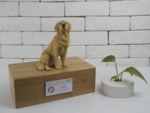 上海金橋寵物診所 互聯網數據服務的創新應用與價值